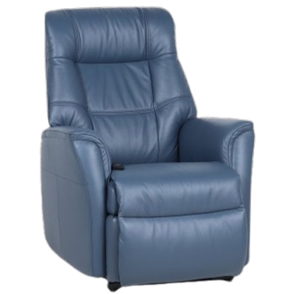 Ultra Functional Lift chair